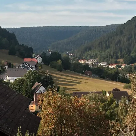 Apartament Waldblick Baiersbronn Zewnętrze zdjęcie