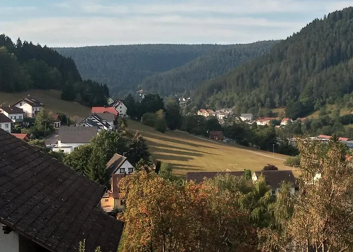 Waldblick