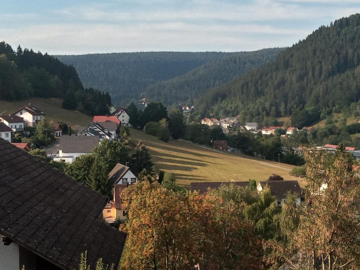 Waldblick Apartment